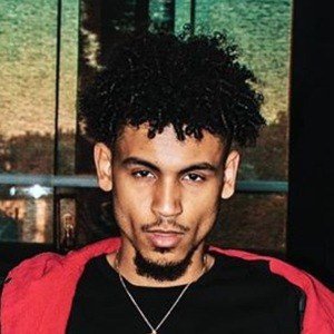 Joey Trap image 3