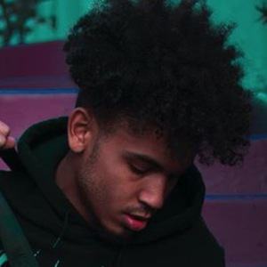 Joey Trap image 4