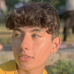 Johan Foset, 22 (Звезда Тиктока)