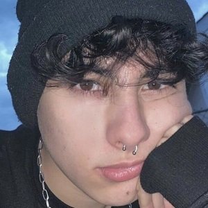 Johan Foset, 22 (TikTok-ster)