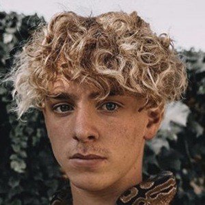 Jojo Tua image 4