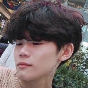 JojoSpotlight image 8