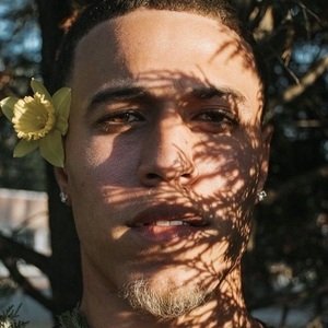 Jordan Scott image 5