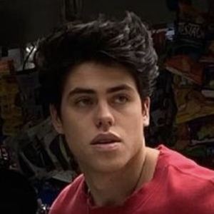 Jorge Patiño, 26 (TikTok明星)