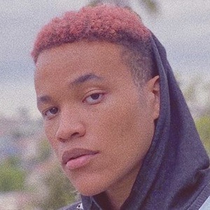 Joshua David King image 6