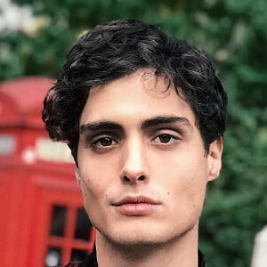 Joshua Sorrentino image 10