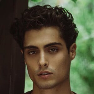 Joshua Sorrentino image 11