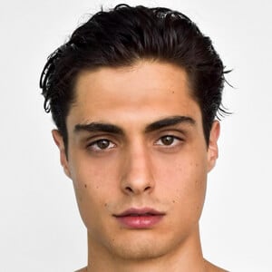 Joshua Sorrentino, 32 (Modelo)