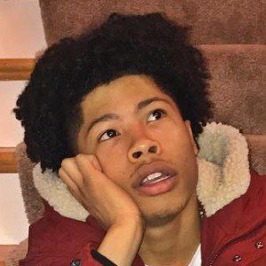 JR 2-Crucial image 3