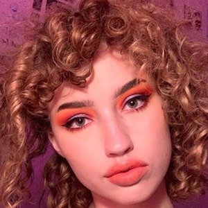 JumpingSpider image 3