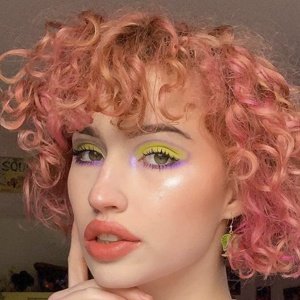 JumpingSpider image 5