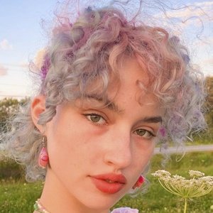 JumpingSpider image 7