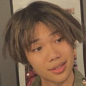 Justin Phan, 24 (Estrella de TikTok)