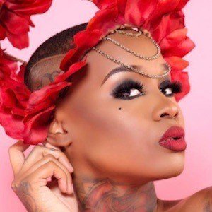 Kandyce Hogan image 5