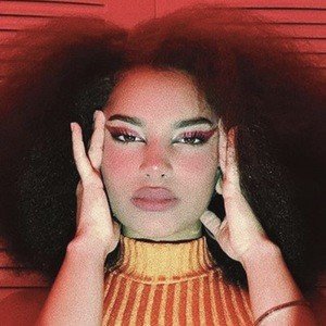 Katttrod, 19 (Ballerino)