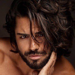 Kenan Engerini image 5