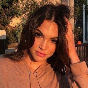 Kensington Tillo, 24 (Modell)