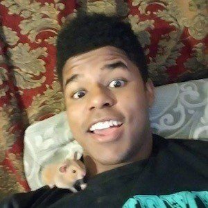 Kenyon Moore image 3