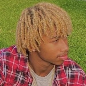 Kewan Green image 5