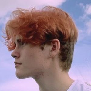 Kian Jardine image 4