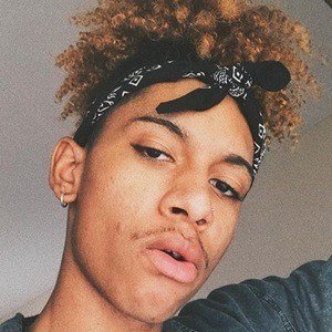 Kobe Jayy, 24 (YouTube Star)