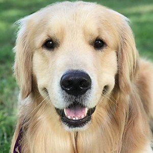 Kono in Orlando image 3