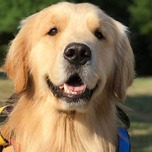 Kono in Orlando image 4