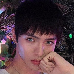 Krystian Wang image 3