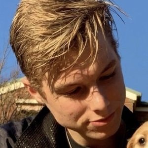 Lachlan Viney image 7