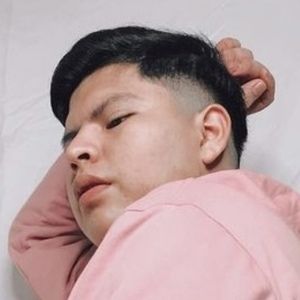 Laestupenda_