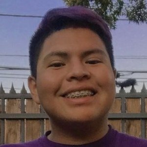 Laestupenda_ image 5