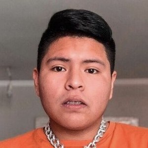 Laestupenda_ image 8