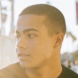 Lakota Johnson, 24 (TikTok明星)