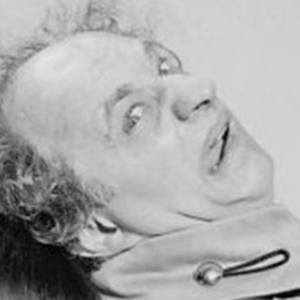 Larry Fine image 5
