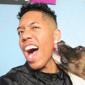 Laurence Evans image 5