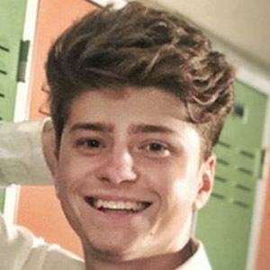 Lemnaru Iulian image 3