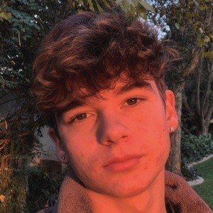 Liam Cokayne image 2