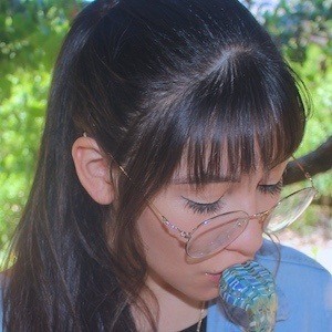 LifeBeingDest image 5