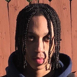 LightSkinMonte image 1