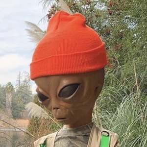 Lil Mayo image 5