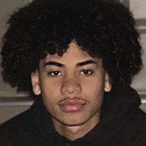 Lileddietherapper image 7