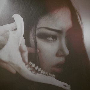 Lillian Liu image 8