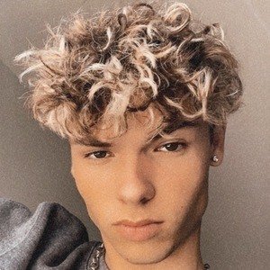 Logan Caruso image 8