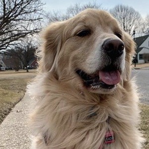 Look Its Sadie, 10 (Con chó)