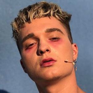 Louis Florea image 3