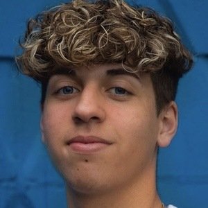 Lucas Gnoato, 22 (TikTok-ster)