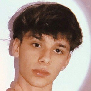 Lucas Nardella image 5