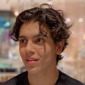 Ludde Blomqvist, 23 (Estrella de TikTok)