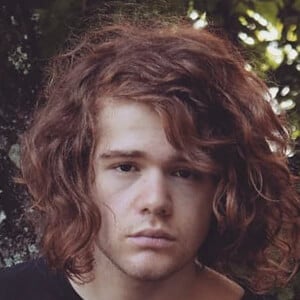 Ludovico Maccauro image 5