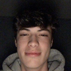 Luke Mclaughlin, 22 (TikToker)